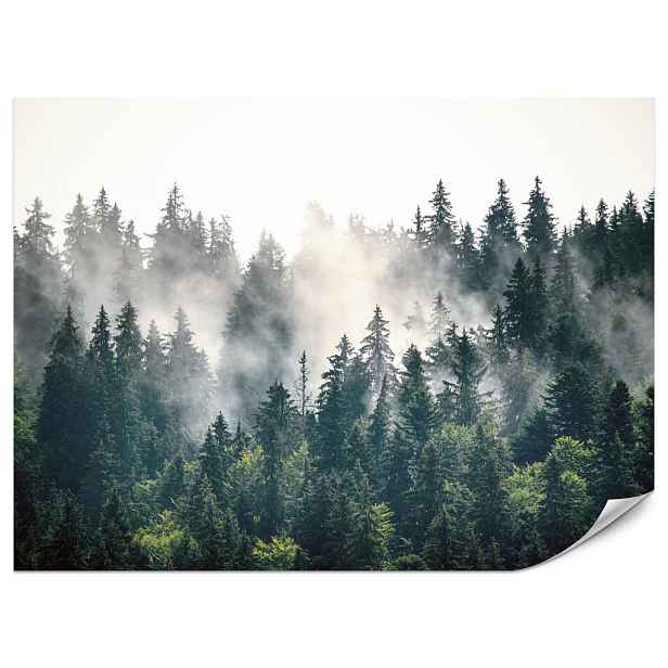 Muralo FOTOTAPETA do Obývacího Pokoje Mlžný Jehličnatý Les Horská Mystika Stromy 150x105