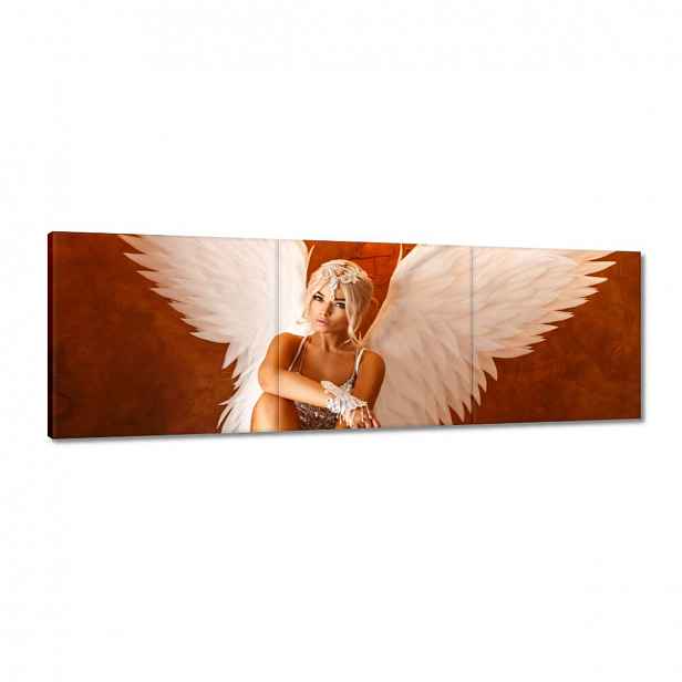 Obrazy 120x40 Anděl dívka