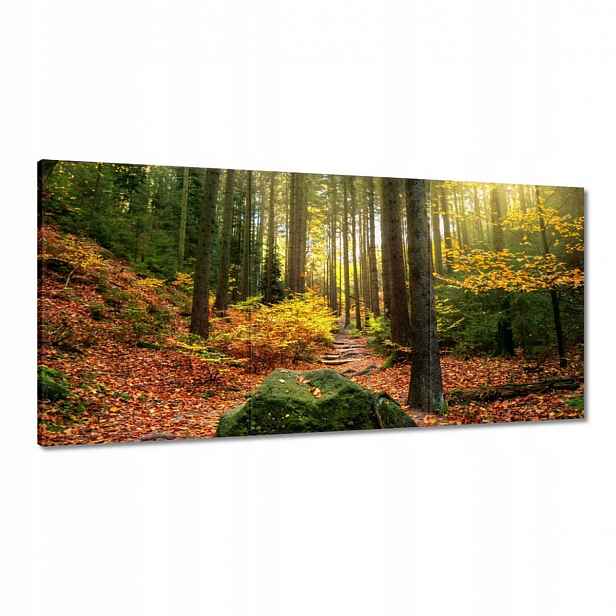 Obrazy 120x60 Krajina