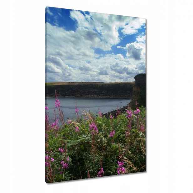 Obrazy 80x120 Fialové květy
