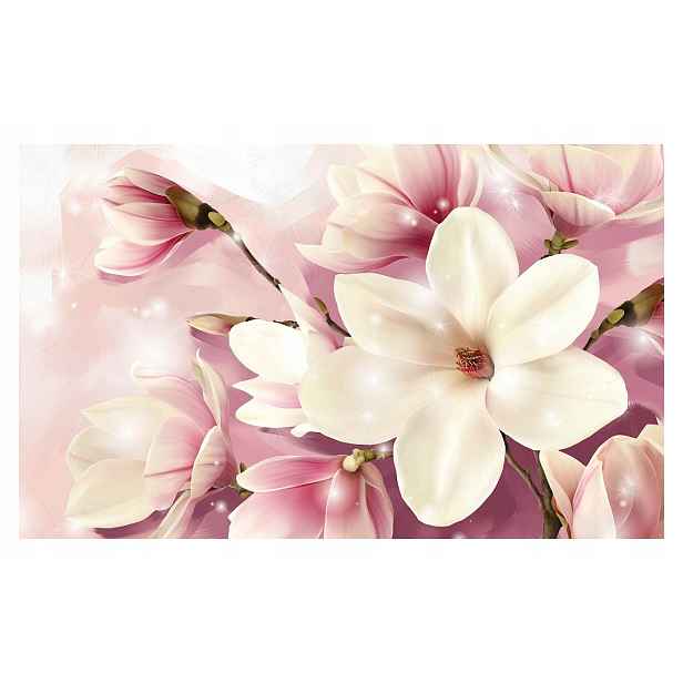 Vliesová fototapeta Magnolie Růžové ráno bokeh efekt 416x254 lepidlo