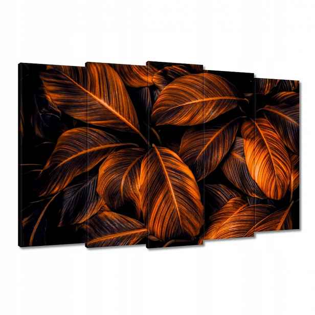 Obrazy 150x95 Oranžové listy