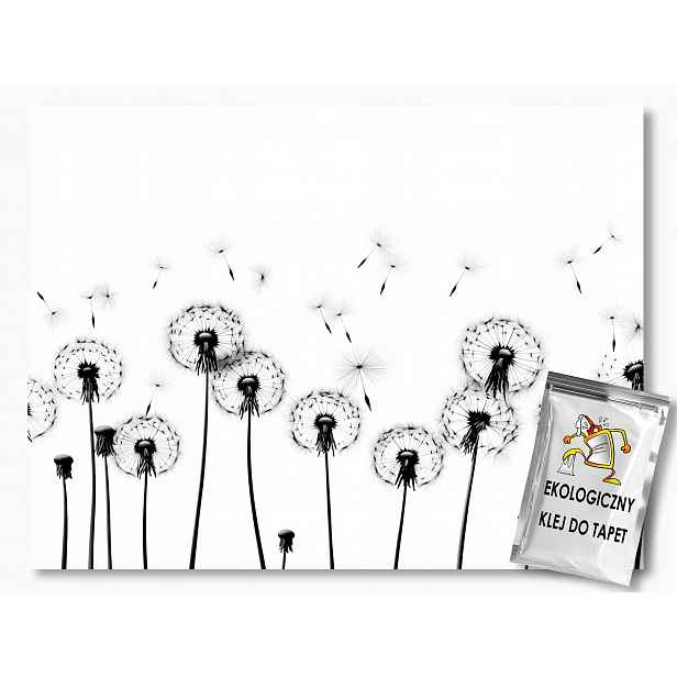 Fototapeta Flizelina Grafika Příroda Květiny Foukačky B&w 208x146 130g