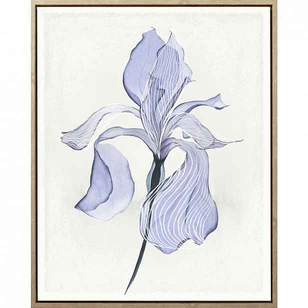 XXXLutz UMĚLECKÝ TISK, květiny, 40/50 cm Monee - 0089580298