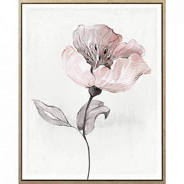 XXXLutz UMĚLECKÝ TISK, květiny, 40/50 cm Monee - 0089580300