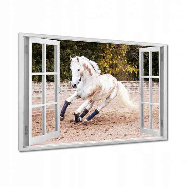 Obrazy 120x80 Kůň Koně Jezdectví