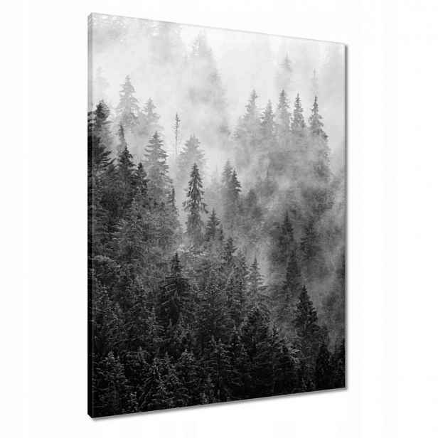Obrazy 60x80 Krajina Šedá Hory Mlha