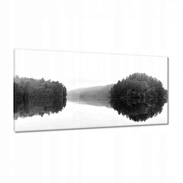 Obrazy 115x55 Jezero Ostrov Černá