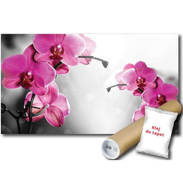 Fototapeta Růžové Orchideje 9D V4 254x184 F1034