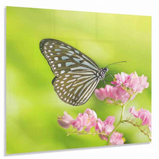 Tvrzený Panel 60x50cm 4mm Ochranný Dekorativní Lacobel Do Kuchyně