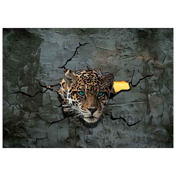 Fototapeta Jaguar a Leoparda dravost v interiéru 254x184 lepidlo