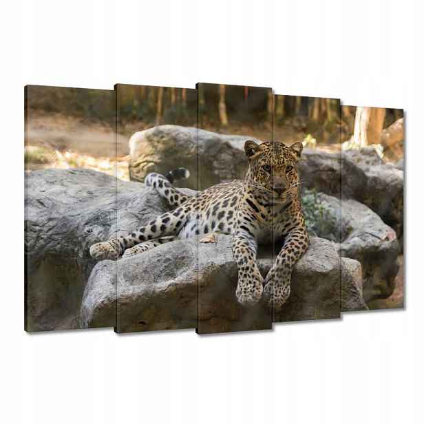 Obrazy 150x95 Leopard