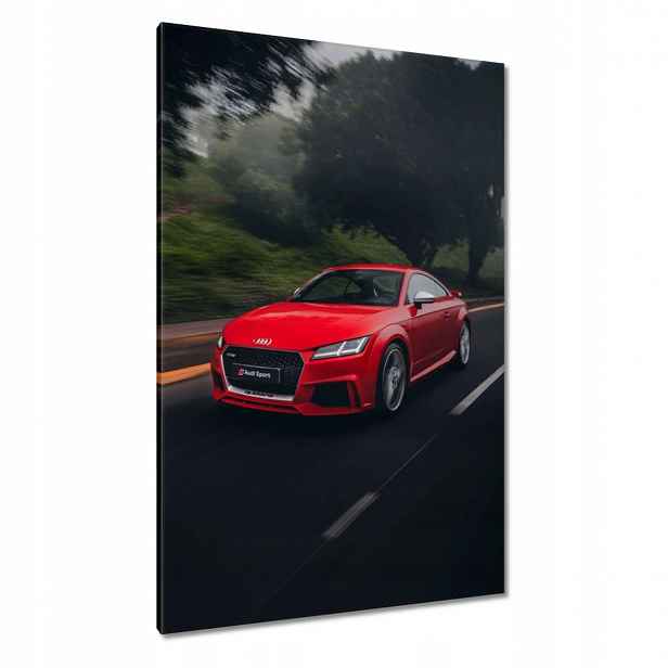 Obrazy 80x120 Červené Audi Auto