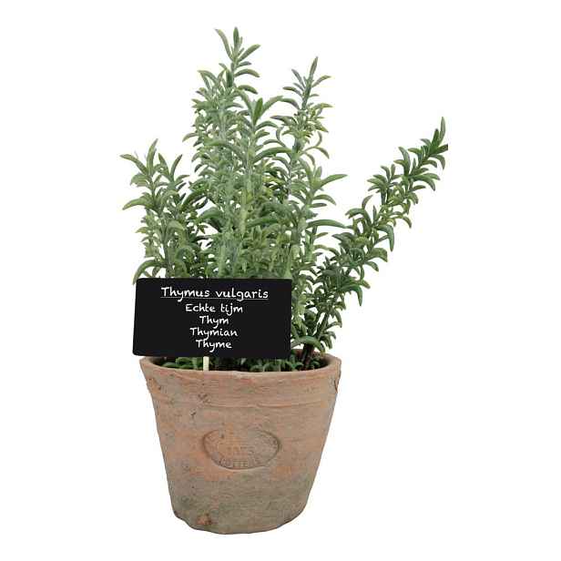 Umělá rostlina (výška 21,5 cm) Thyme – Esschert Design