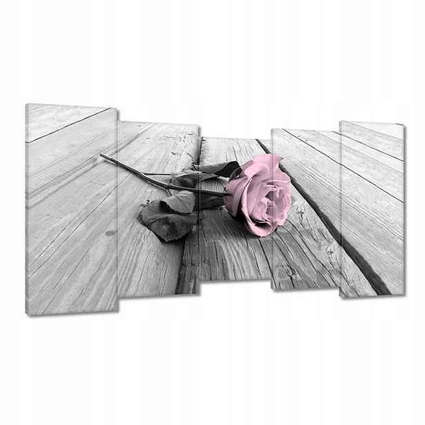 Obrazy 150x80 Pudrová růžová Old pink Rose