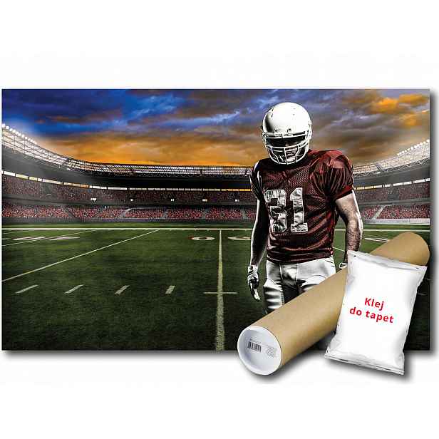 Fototapeta Football Futbol 13A F3XL 416x254 F1109