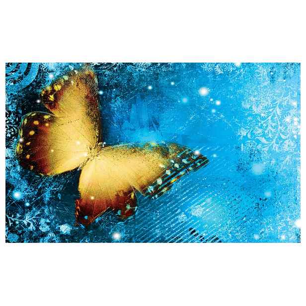 Fototapeta flizelina Motýl Modrý Bokeh Abstrakce Grafika 208x146 lepidlo