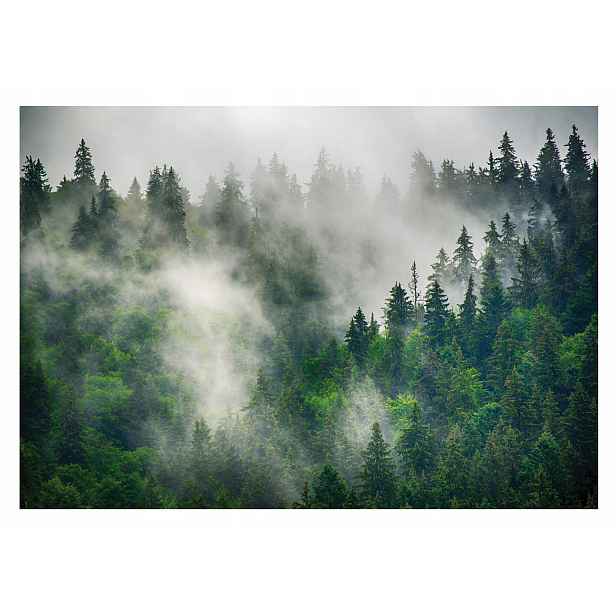 Fototapeta Mlhavý Les Příroda Mlha Pohled 312x219