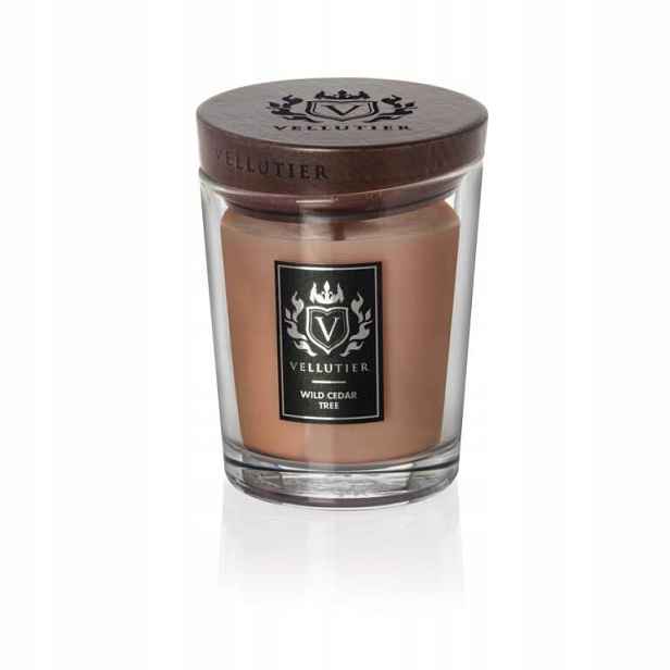 Tradiční sójová svíčka Wild Cedar Tree Vellutier 1 ks
