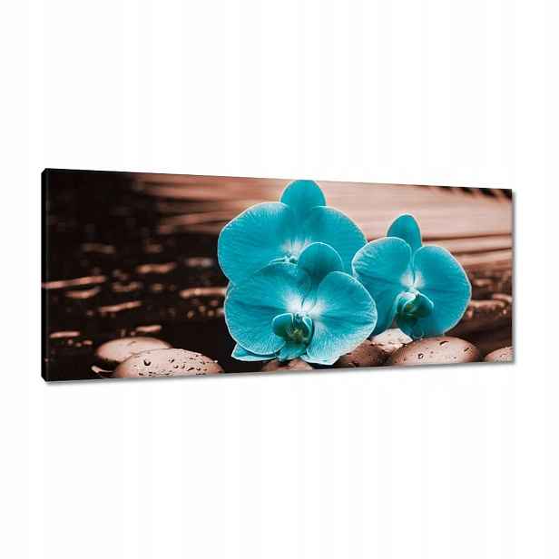Obrazy 100x40 Tyrkysový orchidej