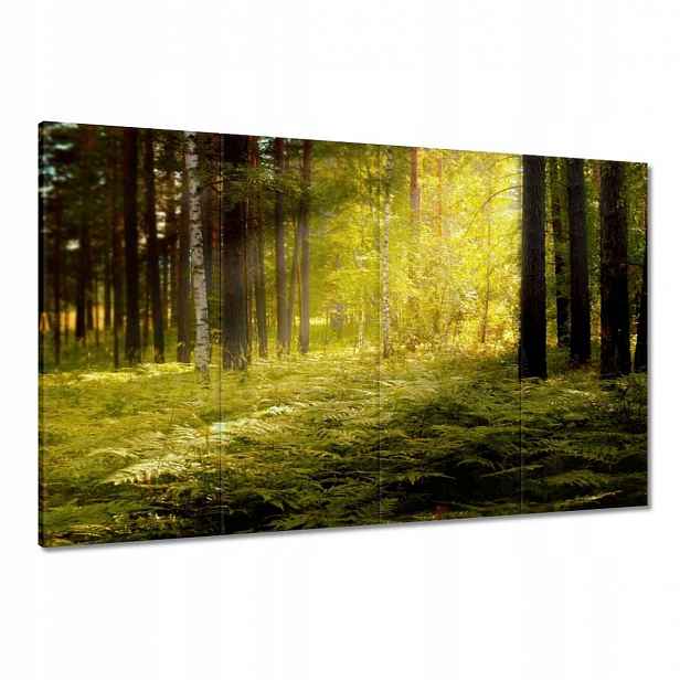 Obrazy 120x80 Východ slunce v lese
