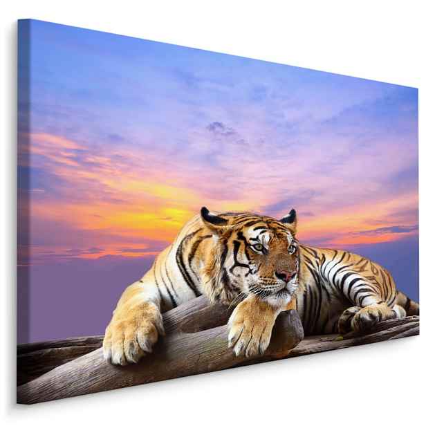 MyBestHome BOX Plátno Tygr Varianta: 30x20