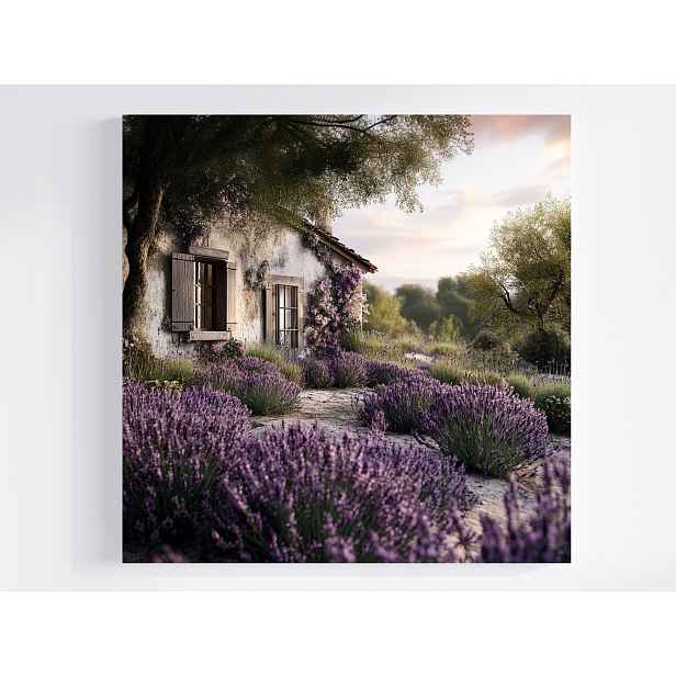 Obraz Na Plátně Canvas Krajina Francie Provence Dům Chatka Levandule 50x50
