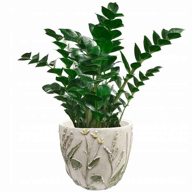 Květináč Na Balkon Bylinky Velký 18 cm betonově šedý parapet bonsai obal