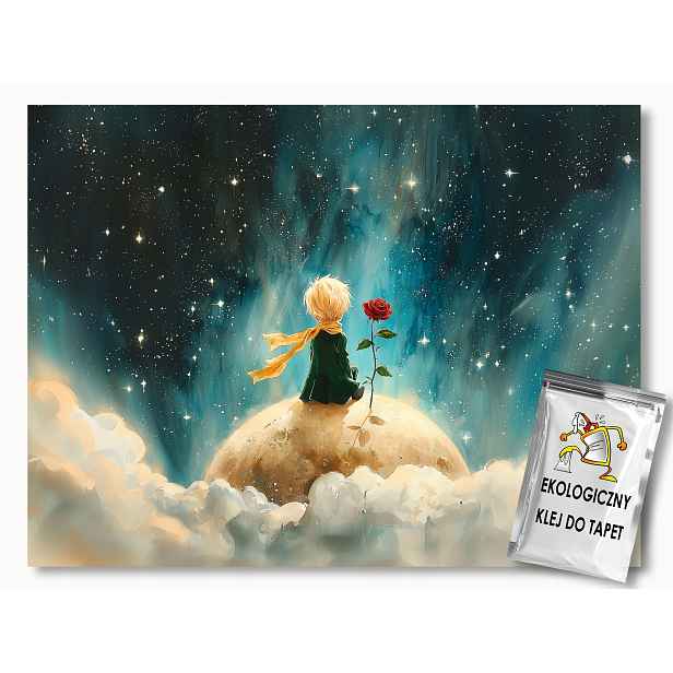 Fototapeta Flizelina Pohádka Malý Princ Vesmír Planeta Růže 368x254 130g