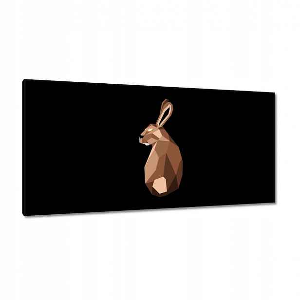 Obrazy 115x55 Zajíček na černém pozadí