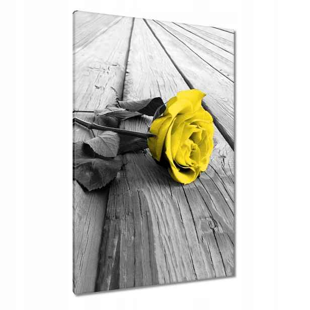 Obrazy 80x120 Žlutá růže na deskách