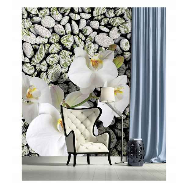 Fototapeta Bílé orchideje na kamenech Elegance a klid 206x275 lepidlo