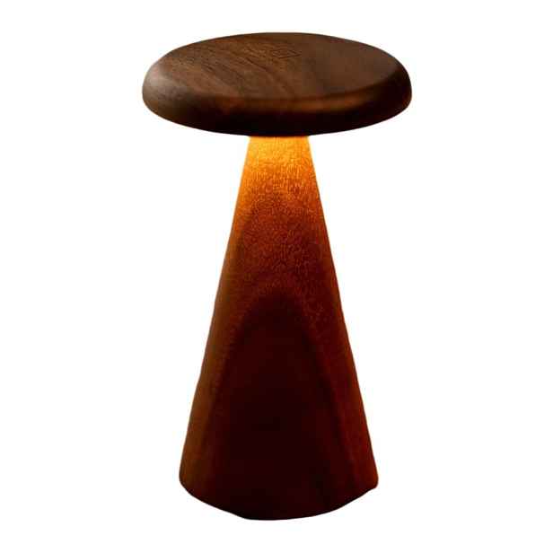 LED stolní lampa v tmavě přírodní barvě s dřevěným stínidlem (výška 21 cm) Sylva – Gingko