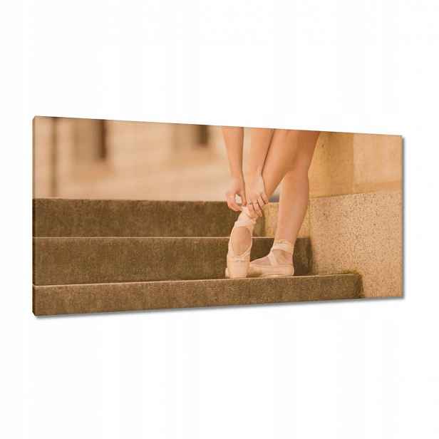 Obrazy 115x55 Baletka
