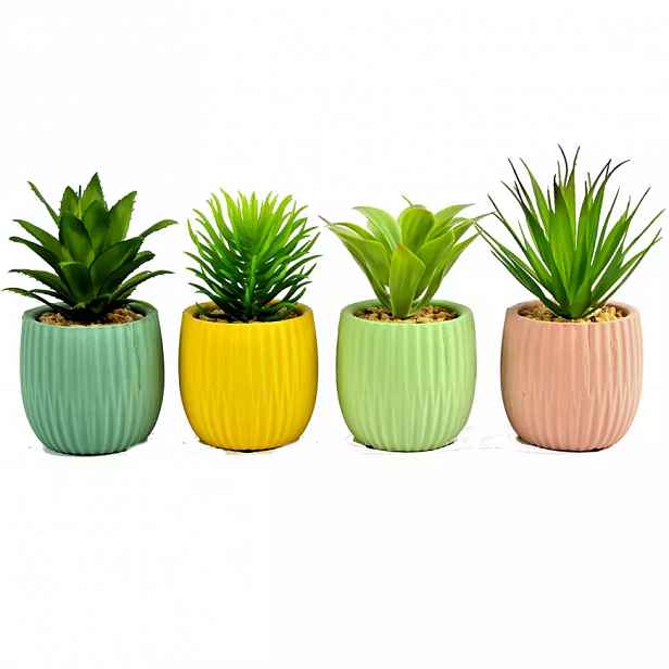 Sukulent 18cm mix 95873
