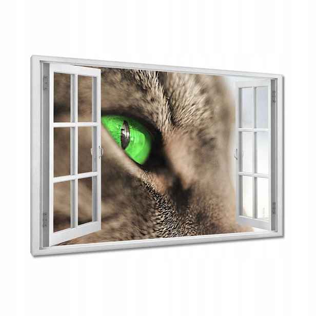 Obrazy 90x60 Kočičí pohled