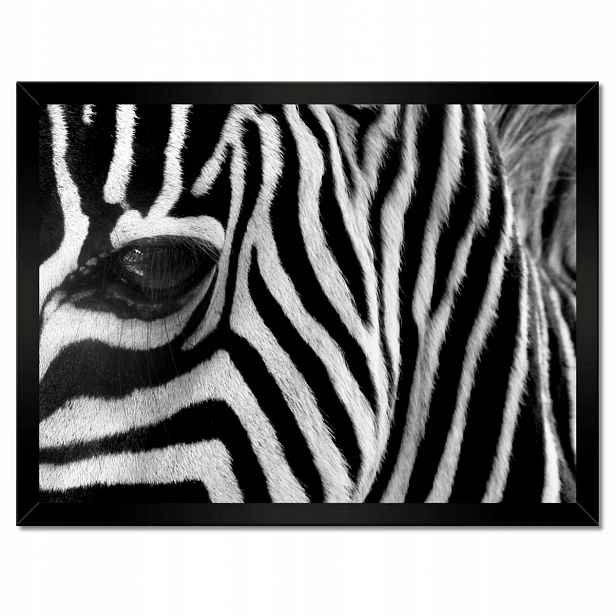 Plakáty v rámu 40x30 Černobílé pruhy Zebra