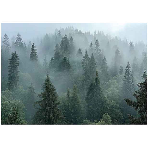 Fototapeta Zelený Les Mlha Tapeta Do Předsíně Obývacího Pokoje Kanceláře 400x280