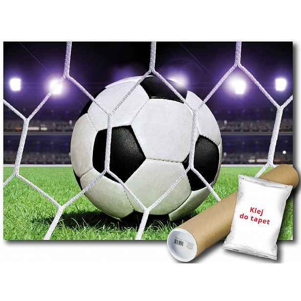 Vinylová fototapeta míč stadion branka 152x104