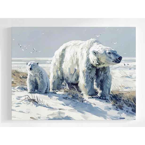 Plakát Polární Medvěd Bílý Medvídek Zima Pól 100x75