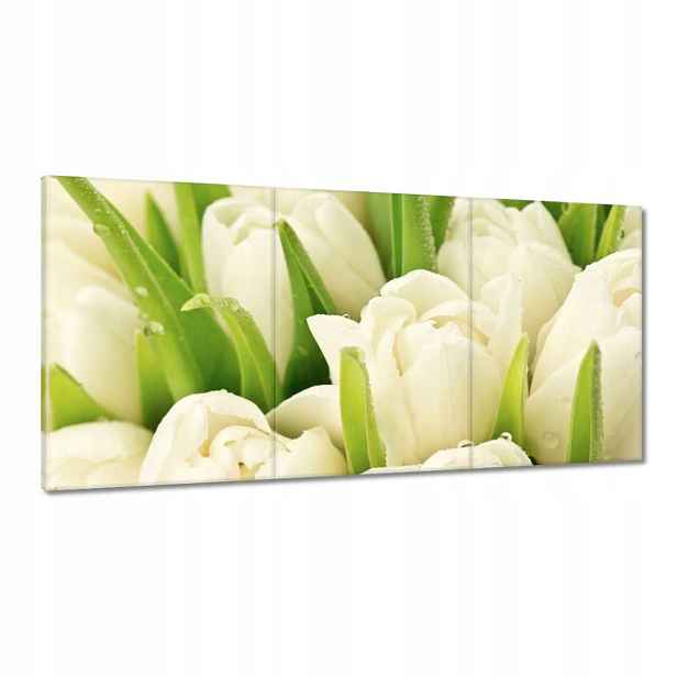 Obrazy 120x60 Jemné tulipány