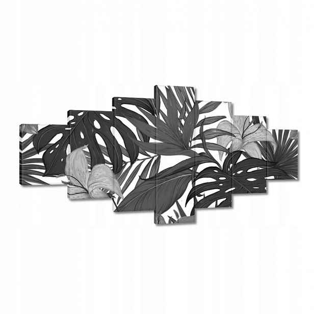 Obrazy 210x100 Černobílá monstera