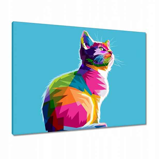Obrazy 80x60 Kočička Kočky Kicia