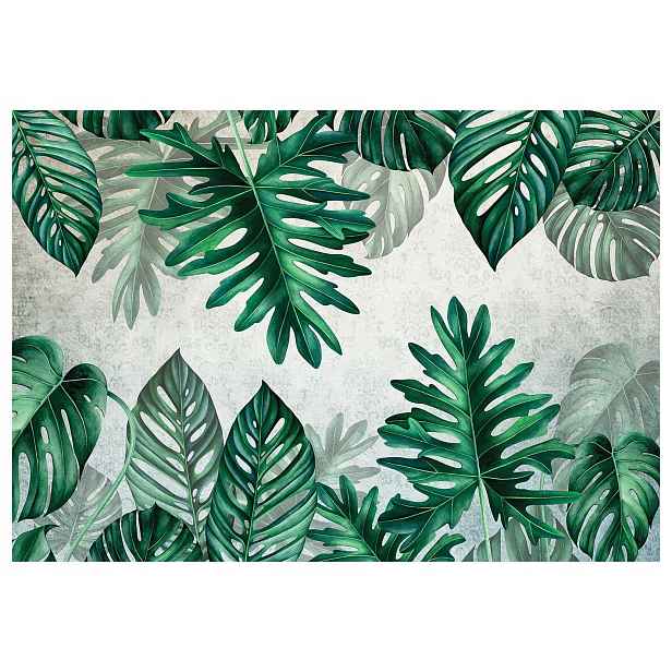 Fototapeta Monstera listy tropické šedé pozadí 368x280 vinylová lepidlo