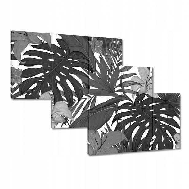 Obrazy 150x105 Černobílá monstera