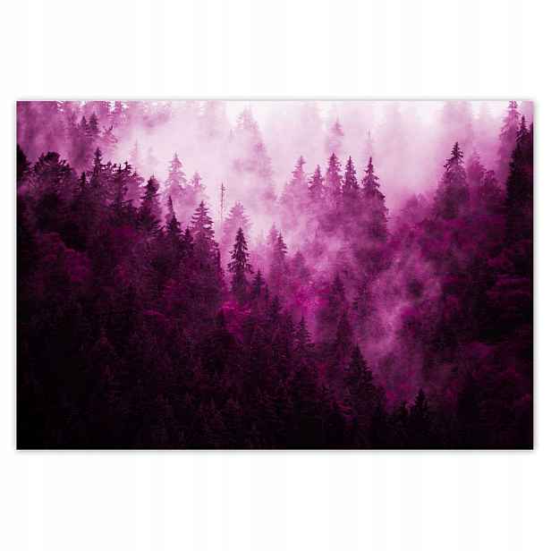 Fototapety 200x135 Krajina růží Hory Mlha
