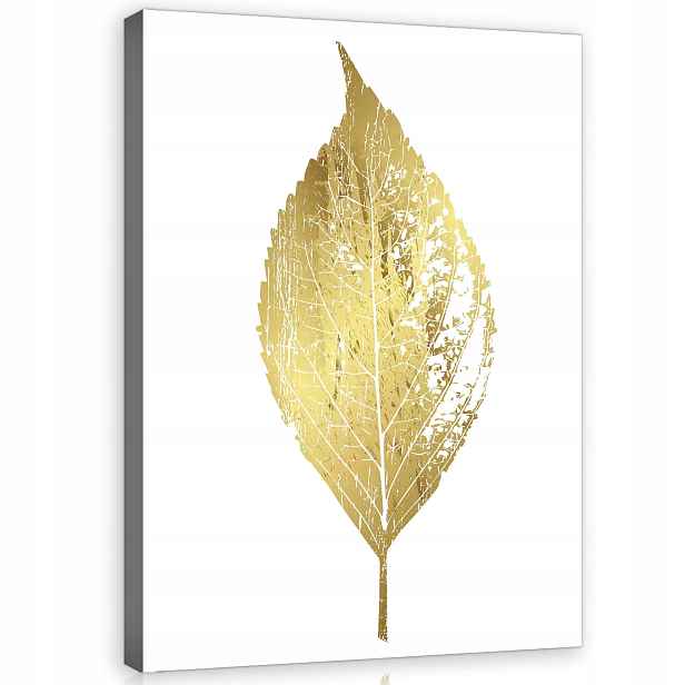 Obraz 60x80 Zlatý list minimalismus elegance moderní botanické umění