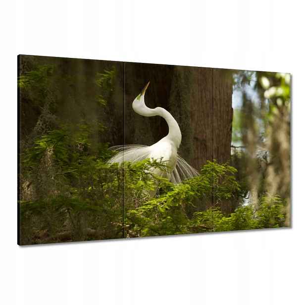Obrazy 120x80 Čapla pták Krajina Pohled