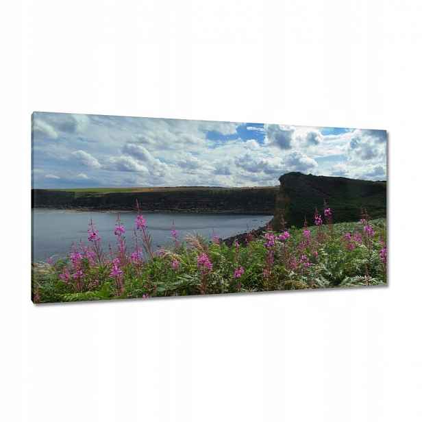 Obrazy 115x55 Fialové květy