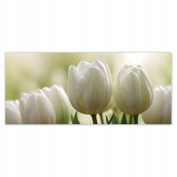 Fototapety 211x91 Bílé tulipány